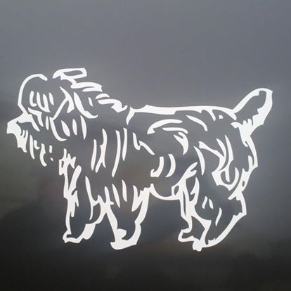 the-yorkshire-terrier-thumbnail