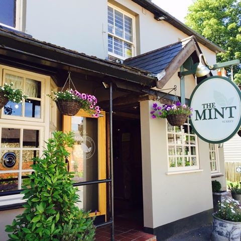 the-mint-thumbnail