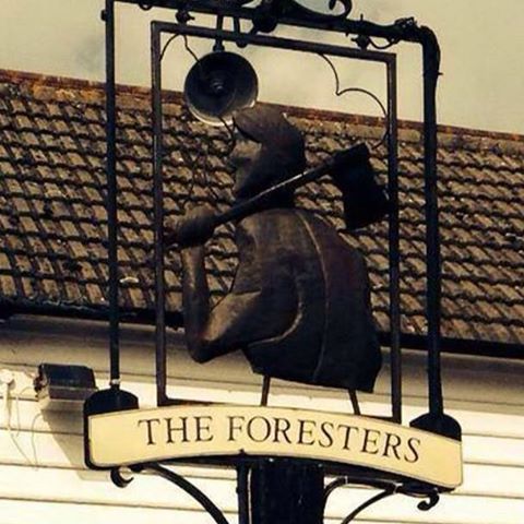 the-foresters-thumbnail