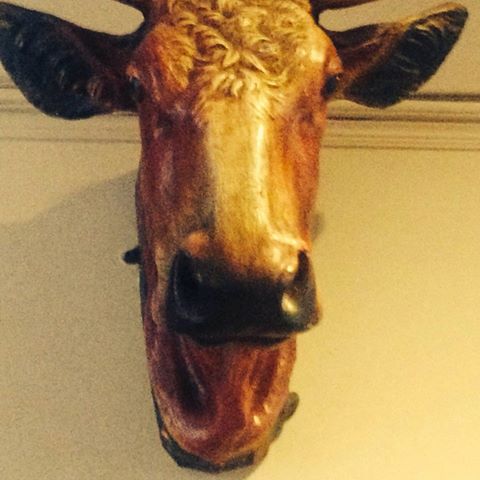 red-cow-thumbnail