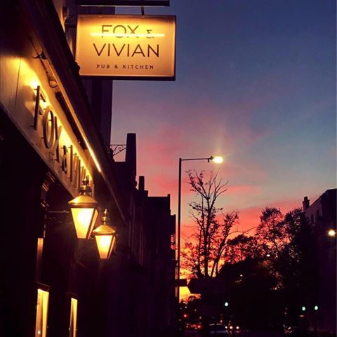 the-fox-vivian-thumbnail