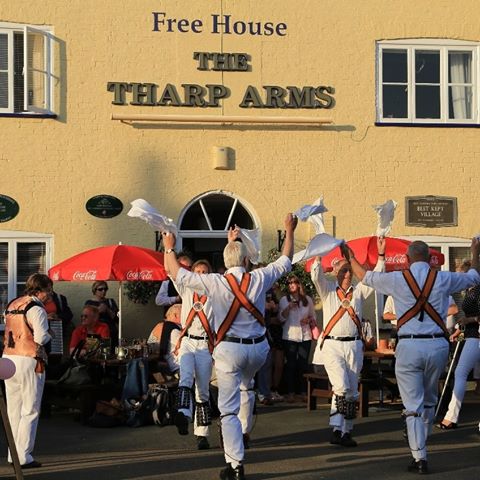 the-tharp-arms-thumbnail