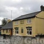bulls-head-thumbnail