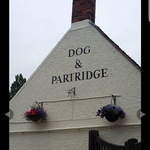 the-dog-partridge-thumbnail