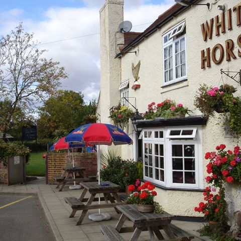 the-white-horse-thumbnail
