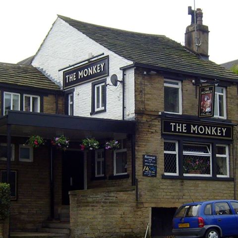 the-monkey-thumbnail