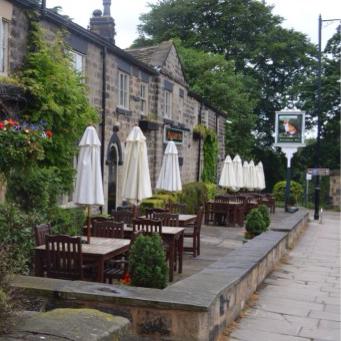 the-roundhay-fox-thumbnail