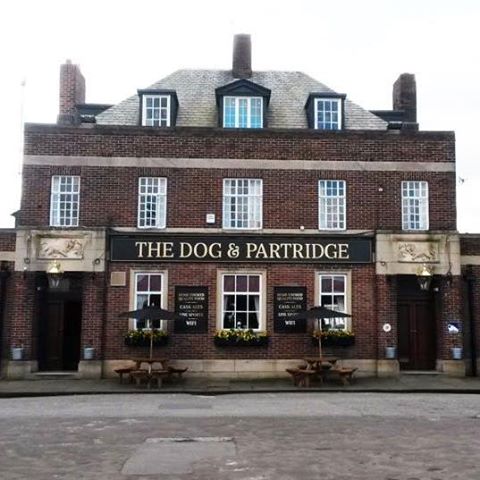 dog-partridge-thumbnail
