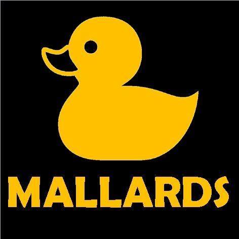 mallards-thumbnail