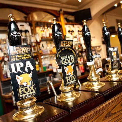 fox-hounds-thumbnail