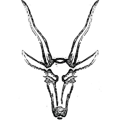 the-antelope-thumbnail
