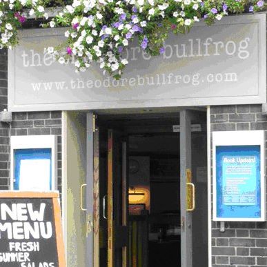 theodore-bullfrog-thumbnail