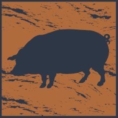 the-square-pig-thumbnail