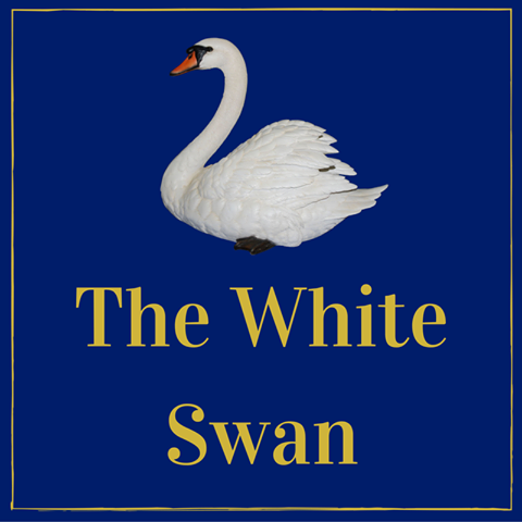 white-swan-thumbnail