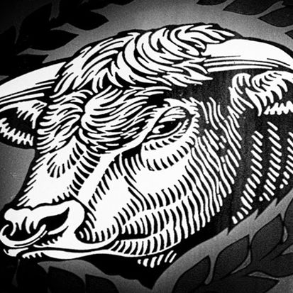 bulls-head-thumbnail
