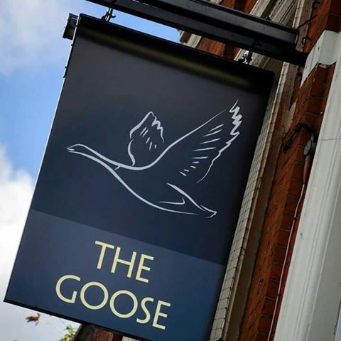 the-goose-thumbnail