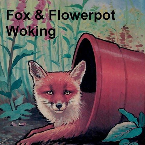 the-fox-and-flowerpot-thumbnail