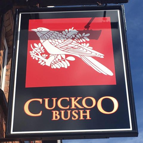 the-cuckoo-bush-thumbnail
