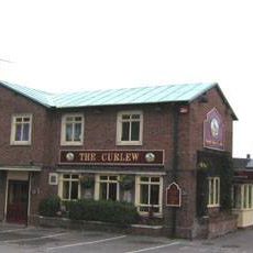 the-curlew-thumbnail
