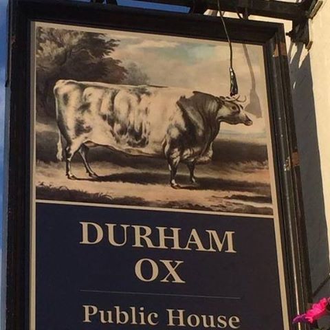 durham-ox-thumbnail