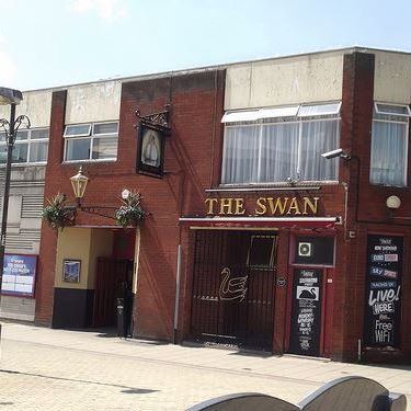 the-swan-thumbnail