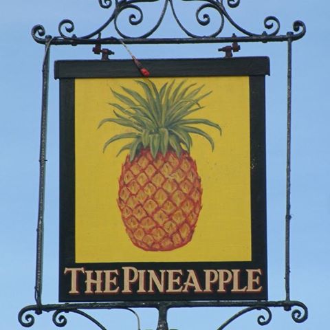 the-pineapple-thumbnail