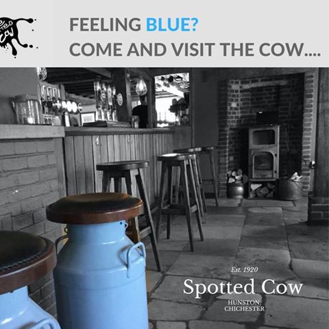 the-spotted-cow-thumbnail