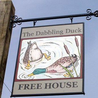 dabbling-duck-thumbnail
