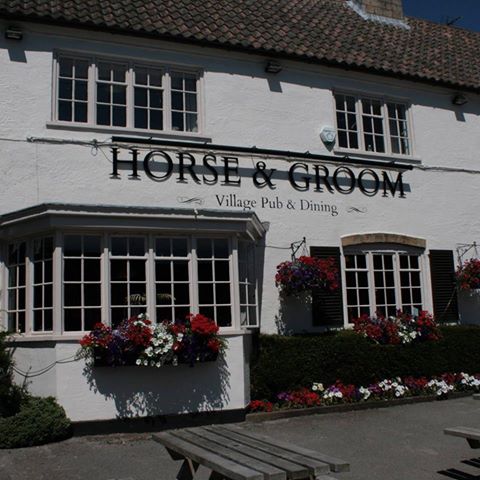 horse-groom-thumbnail