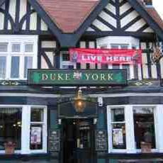 the-duke-of-york-thumbnail