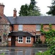 bucks-head-thumbnail