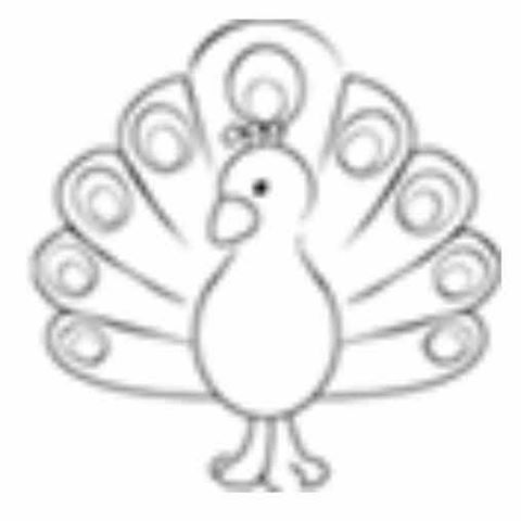 peacock-farm-thumbnail