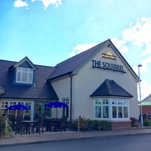 the-squirrel-thumbnail