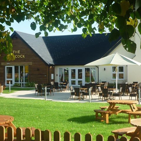 the-peacock-thumbnail