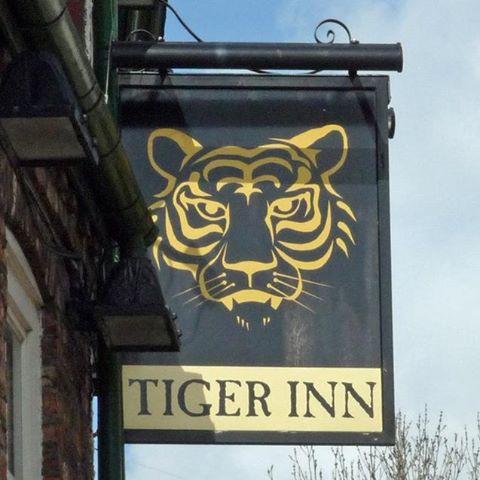 the-tiger-thumbnail