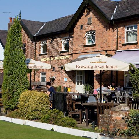 drum-monkey-thumbnail