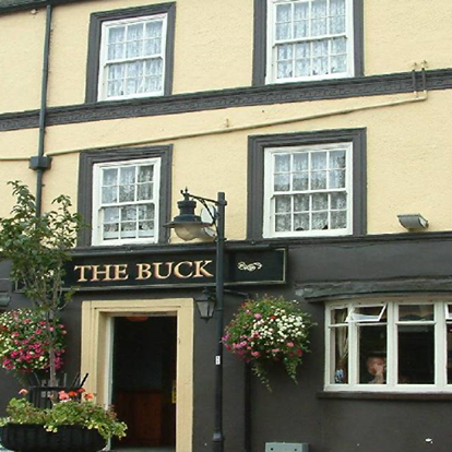 the-buck-thumbnail