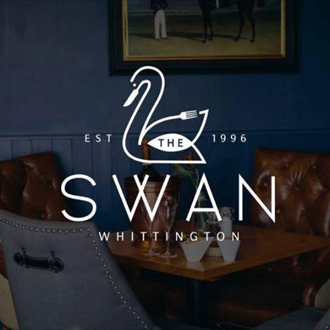 the-swan-thumbnail
