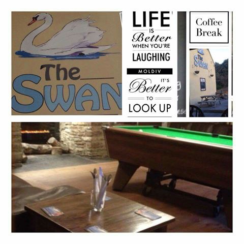 the-swan-thumbnail