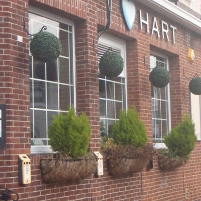 the-hart-thumbnail