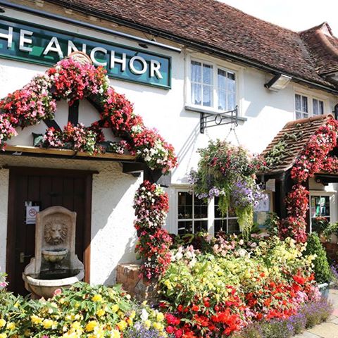 the-anchor-thumbnail