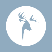 the-stag-thumbnail