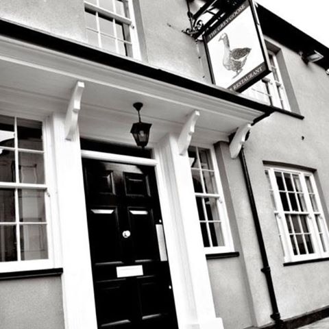 the-grey-goose-thumbnail