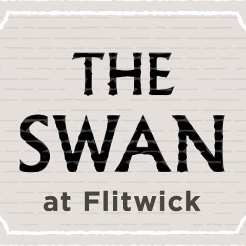 the-swan-thumbnail