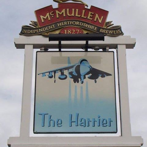 the-harrier-thumbnail