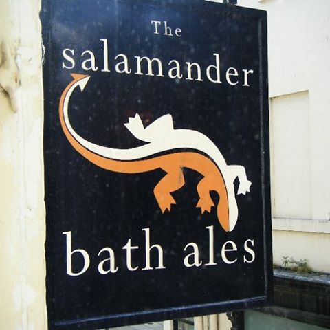 the-salamander-thumbnail