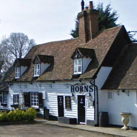 the-horns-thumbnail