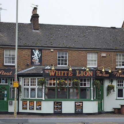 the-white-lion-thumbnail
