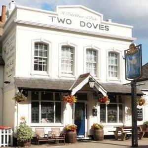 the-two-doves-thumbnail