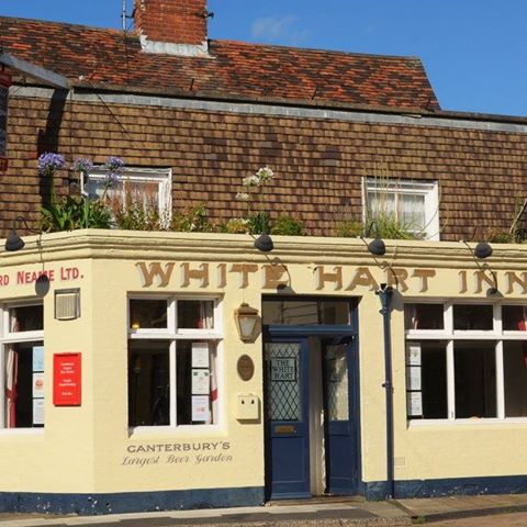 the-white-hart-thumbnail